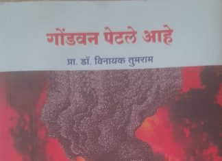 गोंडवन पेटले आहे -मानवमुक्तीचे आक्रंदन
