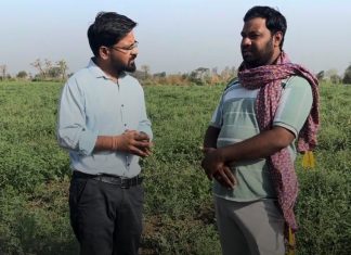 किसान ने नवाचारी प्रयोग से प्राप्त की बंपर फसल