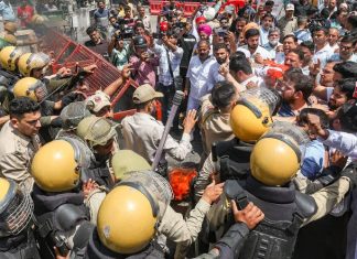 भाजपचे भाजपला समर्थन?