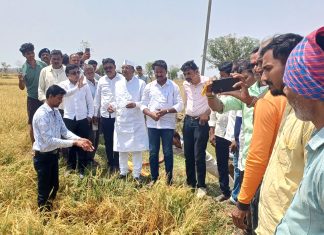 खासदार डॉ.नामदेव किरसान यांची अवकाळी पावसामुळे नुकसान ग्रस्त भागात भेट