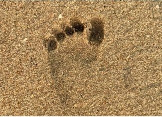 संथारा : 3 साल की बच्ची की मौत लंबे समय तक क्यों सालती रहेगी?