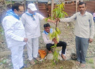 वृक्षप्रेमीचा वाढदिवस वृक्षारोपणाने केला साजरा-श्री सत्यसाई सेवा समितीचा स्तुत्य उपक्रम