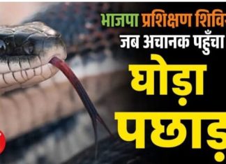 भाजपा : एक अनार और छह बीमारों के बीच घोड़ा पछाड़ युद्ध