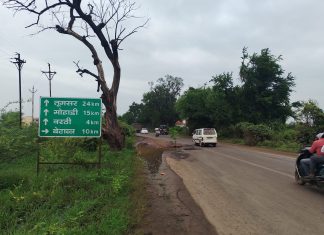 रस्त्यात पडलेल्या मोठ्या खड्यात अज्ञात व्यक्तीने लावले झाड संबंधित सार्वजनिक बांधकाम विभागासाठी लाजिरवाणा प्रकार