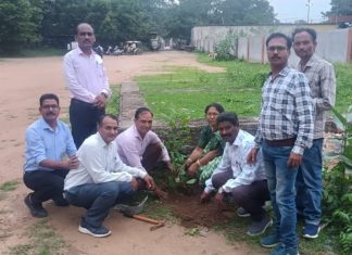 राजकुमार भुरे यांच्या प्रत्येक वाढदिवसाला ‘एक वृक्ष लागवड व संगोपन’
