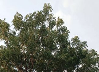 टाटा पॉवर कंपनी विरोधात कामगारांचा एल्गार ; कुटुंबियांसह स्वातंत्र्य दिनापासून आमरण उपोषण