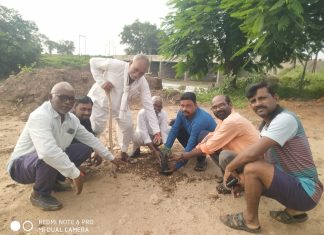 गोवरी येथे वृक्षारोपण कार्यक्रम संपन्न