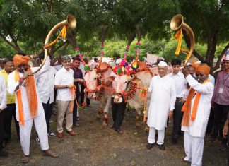 जैन हिल्स येथे पोळा उत्साहात