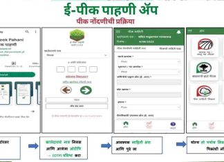 सुशिक्षित बेरोजगारांना शेतकऱ्यांचा ई-पीक पेरा ऑनलाईन नोंदणी करण्याची कामे द्या ! ई-पीक पेरा ऑनलाईन नोंदणी शेतकऱ्यांसाठी डोकेदुखी ! राष्ट्रवादी काँग्रेस पक्षाचे मुख्यमंत्री, कृषी मंत्री यांना निवेदन !