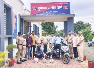 पुसेगाव मध्ये 8 किलो गांजा जप्त.
