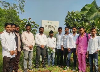 नर्सिंग ऑफिसर्स फाउंडेशन चा वृक्षारोपण उपक्रम–वाढदिवसानिमित्त दिला पर्यावरण संवर्धनाचा संदेश: विदर्भ अध्यक्ष प्रा.कृणाल मलकापूरे यांचा अभिनव संकल्प