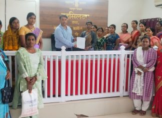 डॉ.संपदा मुंडे आत्महत्या प्रकरणाचा तपास एसआयटीकडे द्या