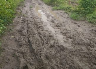 मुख्यमंत्री बळीराजा शेत/पाणंद रस्ते योजना