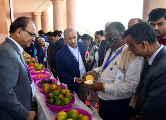 वैज्ञानिक दृष्टिकोनासह, रोगमुक्त रोपांना प्राधान्य द्यावे- डॉ. अशोक धवन