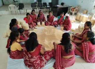 भाग्यलक्ष्मी उत्पादक गट यांचा अभिनव उपक्रम