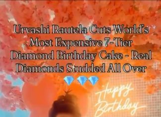 16 करोड़ का हीरों जड़ा केक! उर्वशी रौतेला ने बर्थडे पर रचा लग्ज़री का नया इतिहास