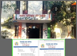 नगर परिषद गाळ्याचे बांधकाम भ्रष्टाचाराची चौकशी करण्याची केली मागणी