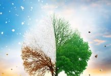 बदलत्या हवामानाचा सर्वच क्षेत्रांना फटका