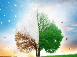 बदलत्या हवामानाचा सर्वच क्षेत्रांना फटका