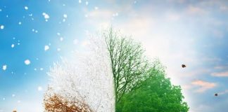 बदलत्या हवामानाचा सर्वच क्षेत्रांना फटका