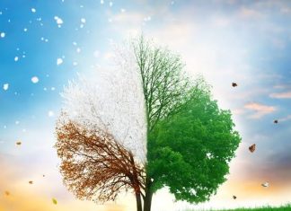 बदलत्या हवामानाचा सर्वच क्षेत्रांना फटका