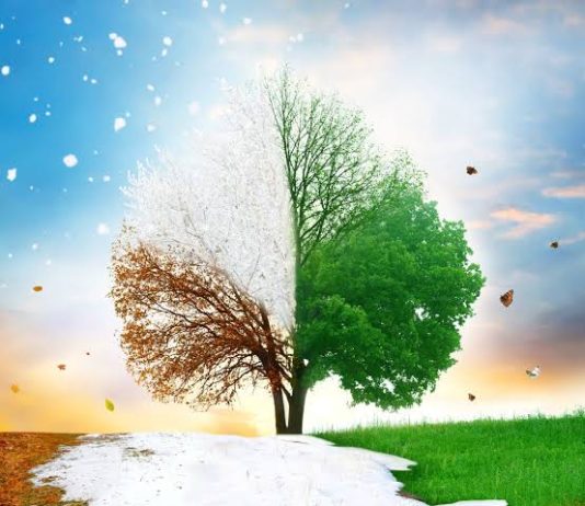 बदलत्या हवामानाचा सर्वच क्षेत्रांना फटका