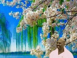 ताडोबा राष्ट्रीय व्याघ्र प्रकल्पाला,राष्ट्रसंत तुकडोजी महाराज यांचे नाव द्या!-राजेंद्र मोहितकर