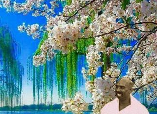 ताडोबा राष्ट्रीय व्याघ्र प्रकल्पाला,राष्ट्रसंत तुकडोजी महाराज यांचे नाव द्या!-राजेंद्र मोहितकर