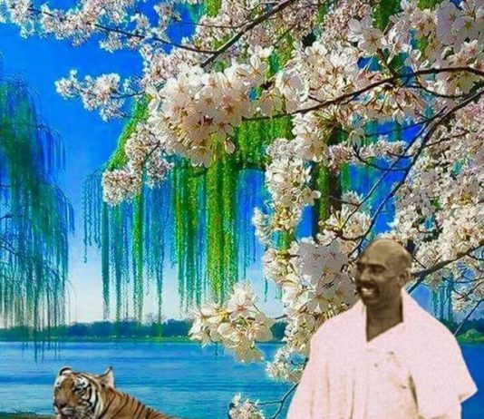 ताडोबा राष्ट्रीय व्याघ्र प्रकल्पाला,राष्ट्रसंत तुकडोजी महाराज यांचे नाव द्या!-राजेंद्र मोहितकर