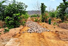 “रोजगार हमी” योजनेत प्रचंड गैरव्यवहार उघडकीस – प्रत्यक्ष कामावर मजूर नसल्याचे तारीख वेळेसह व्हिडिओ कॅमेरा चित्रिकरण
