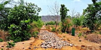 “रोजगार हमी” योजनेत प्रचंड गैरव्यवहार उघडकीस – प्रत्यक्ष कामावर मजूर नसल्याचे तारीख वेळेसह व्हिडिओ कॅमेरा चित्रिकरण