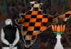 असम : क्या मायने हैं भाजपा की जीत के?