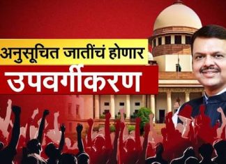 उपवर्गीकरण : फक्त अनुसूचित जातीचेच का?