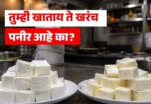 ‘चीज ॲनालॉगचा’ वापर होत असल्यास स्पष्ट उल्लेख करा- अन्न व औषध प्रशासनाचे रेस्टॉरंट, हॉटेल्स, कॅटरर्स आदींना निर्देश