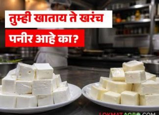 ‘चीज ॲनालॉगचा’ वापर होत असल्यास स्पष्ट उल्लेख करा- अन्न व औषध प्रशासनाचे रेस्टॉरंट, हॉटेल्स, कॅटरर्स आदींना निर्देश