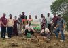 जागतिक पर्यावरण दिनानिमित्त वृक्षारोपण व अमृत गार्डन स्वच्छता अभियान उत्साहात संपन्न