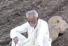 अस्मानी संकटात व सुलतानी लंपटात शेतकरी बेजार-पीकविमा,कर्जमाफी फक्त गाजर