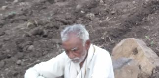 अस्मानी संकटात व सुलतानी लंपटात शेतकरी बेजार-पीकविमा,कर्जमाफी फक्त गाजर
